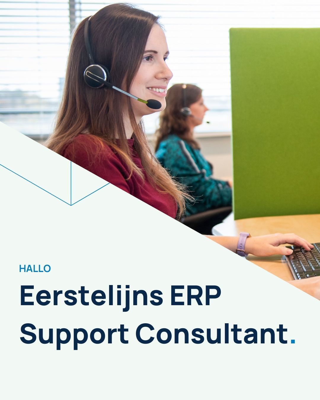 LinkedIn_Ads_Eerstelijns_ERP_Support_Consultant (2)