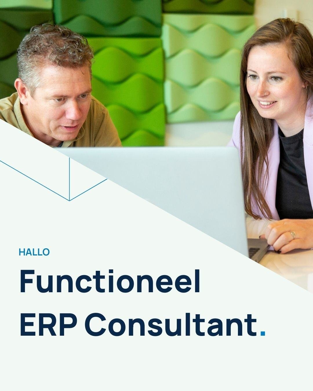 LinkedIn_Ads_Functioneel_ERP_Consultant-1